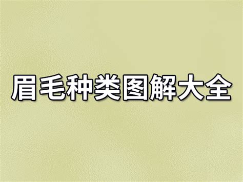 三角眉毛面相|眉毛面相图解大全：28种眉毛类型图文详细分析！